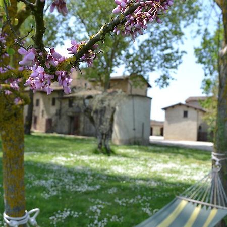 Agriturismo Nestore エクステリア 写真