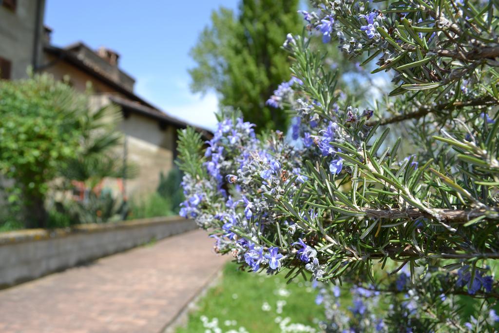 Agriturismo Nestore エクステリア 写真