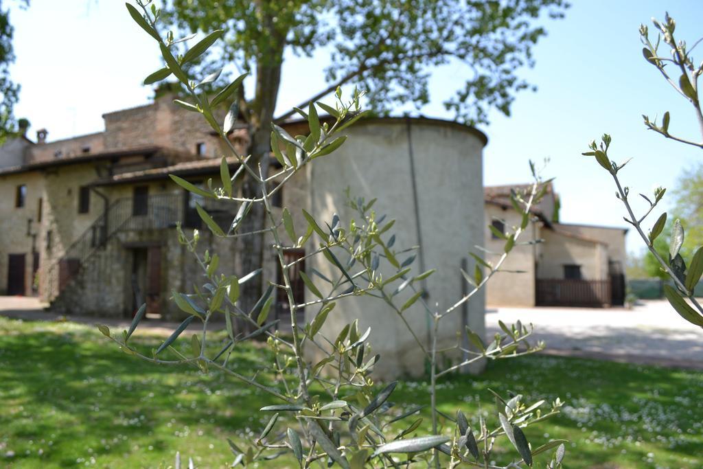 Agriturismo Nestore エクステリア 写真